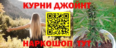 прущие крисы Гусев