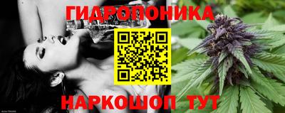 ешки Гусь-Хрустальный