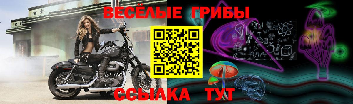 Галлюциногенные грибы ЛСД  цены   Ялуторовск  Псилоцибиновые грибы мицелий  Вход с VPN 