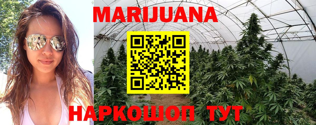 Каннабис конопля Ялуторовск